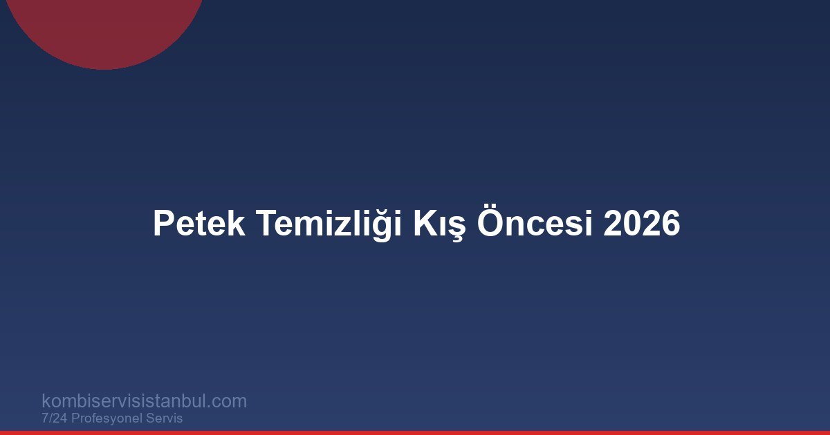 Petek Temizliği Kış Öncesi 2026 | Ne Zaman Yaptırmalı?